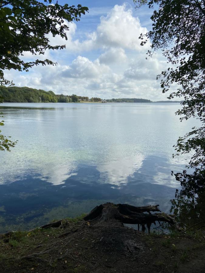 Les Pieds Dans L Eau Leilighet Erpion Eksteriør bilde